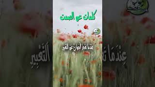 كلمات رائعة عن الصمت