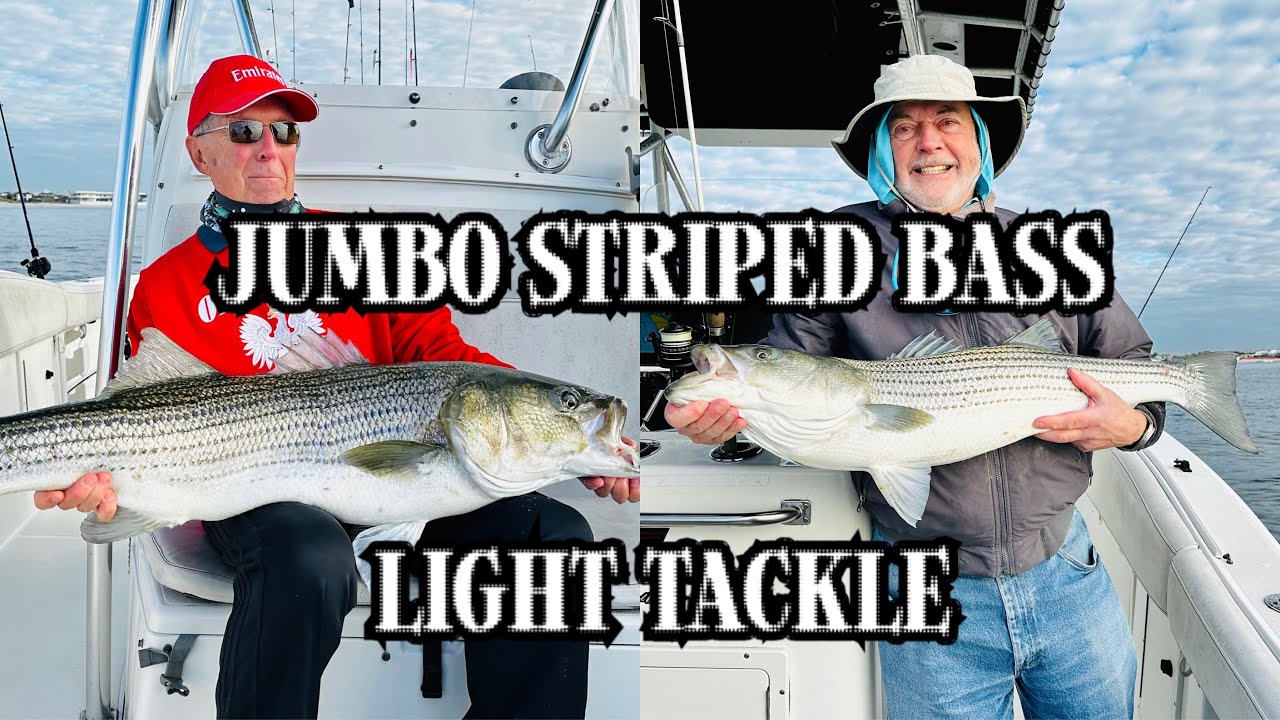 Snag live bunker and got JUMBO striped bass on light tackle with Salty