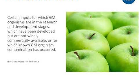Non-GMO Project Express Webinar | NSF International
