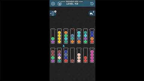Sorter It Puzzle level 113