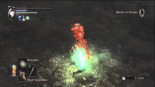 Demons Souls - World 4 Black Phantom Satsuki & Primeval Demon