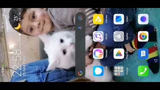 Stumble Guys Hile Nasıl Yapılır