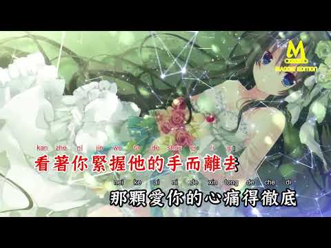 多情的我遇上绝情的你(DJ默涵版) - 李乐乐【备有清晰版伴奏】