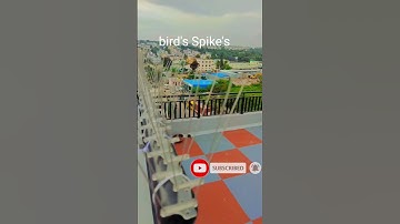 how to install bird spikes #spike #birds #pigeon #shortsvideo