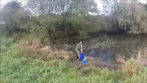 Feeding a few Duck Flight Ponds