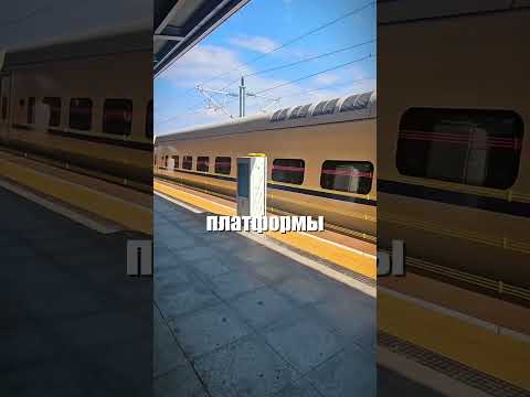 А у вас в городе есть что-то подобное? 🏙️👀🤔
