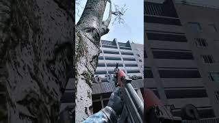 STALKER 2 💀 AK-47 In Hardcore Mode #fps #gaming #shorts