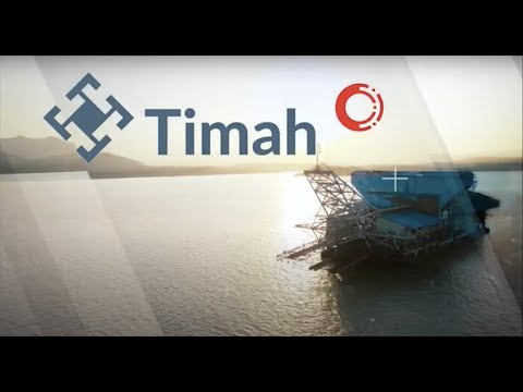 Company Profile PT TIMAH Tbk tahun 2020.