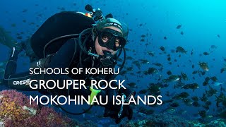 Groper Rock, Mokohinau Islands New Zealand