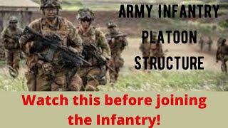 Army Infantry Platoon Structure