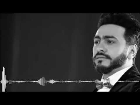 انا بكرهك ياقلبى تامر حسنى