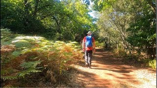 Senderismo en Los Romeros. Sierra de Aracena y Picos de Aroche (Huelva)