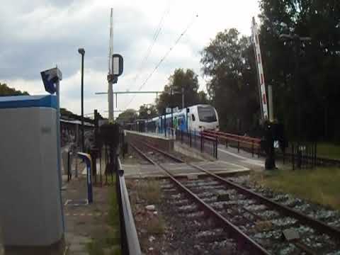 00010 Keolis 7403 2020 06 27 Raalte station 20200627 00001 Copyright Olaf Horn 2020