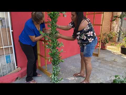 Decoração para casamento com flores e folhagem artificial simples e fácil