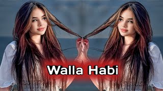 walla Habi Best Arabic Remix (Nc-Max)Yeany 2024 Arabic Music