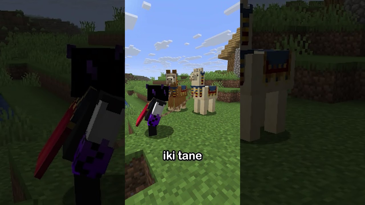 MİNECRAFT'TA BU BEBEK CANLIYI MUHTEMELEN HİÇ GÖRMEDİNİZ !? ⛏💎