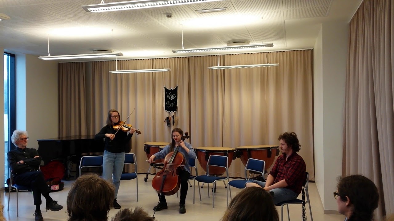 Duo Systrami - Swedish folk music