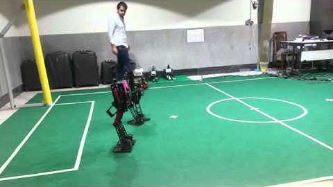 Parand Humanoid Soccer Robot