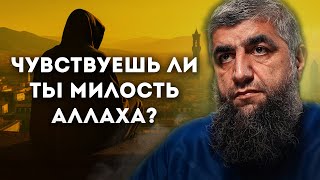 Чувствуешь ли ты милость Аллаха?