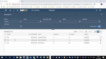 User Defined Objects in the Web Client