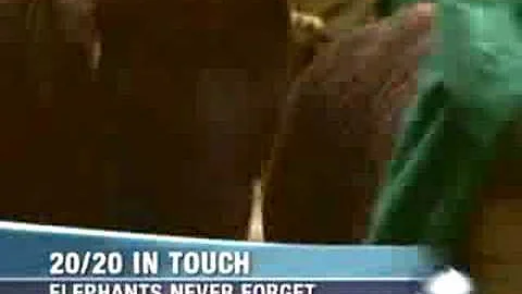 Elephants pushed to the limit