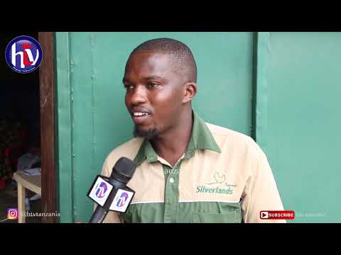 Video: Je! Unapaswa Kununua Mnyama Kutoka Soko La Kuku?