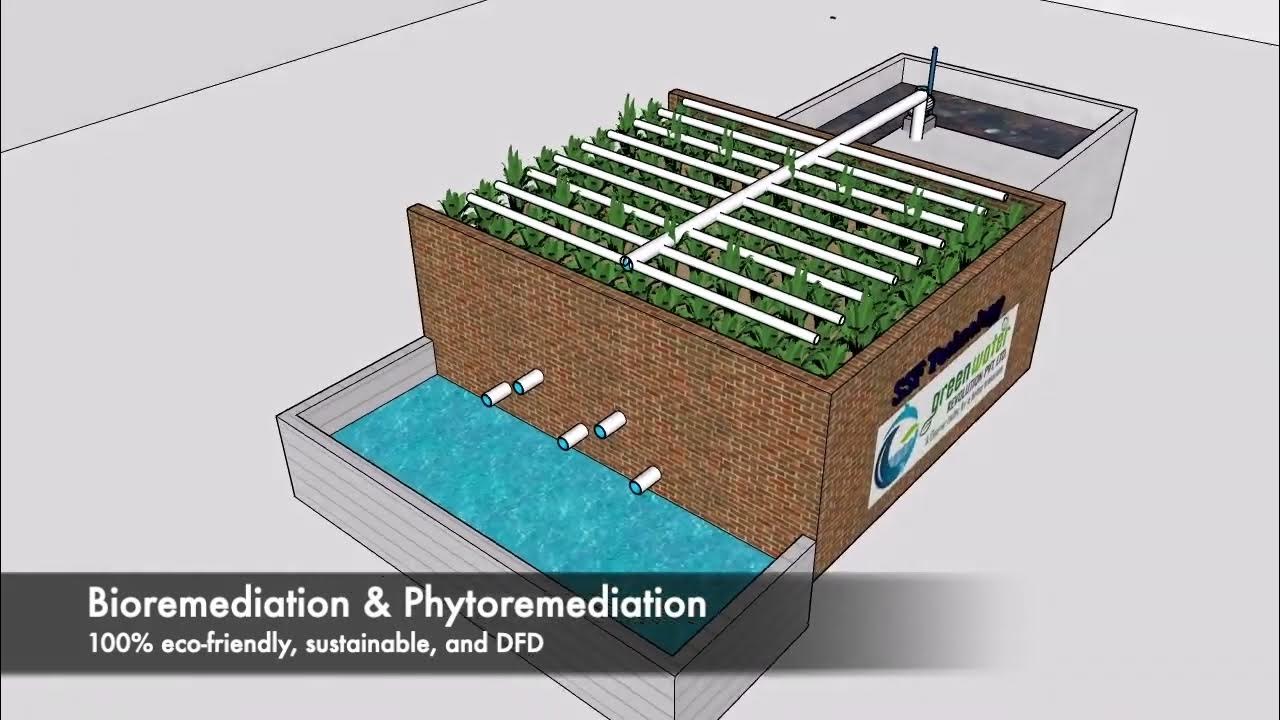 SSF Nature Based Solution for Wastewater Treatment Plant Remove