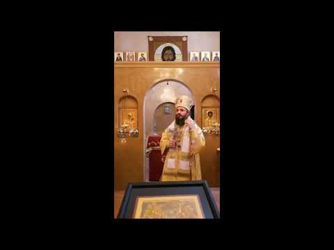 მიტროპოლიტ ილარიონ ალფეევის მიერ გაკეთებული განცხადების შესახებ