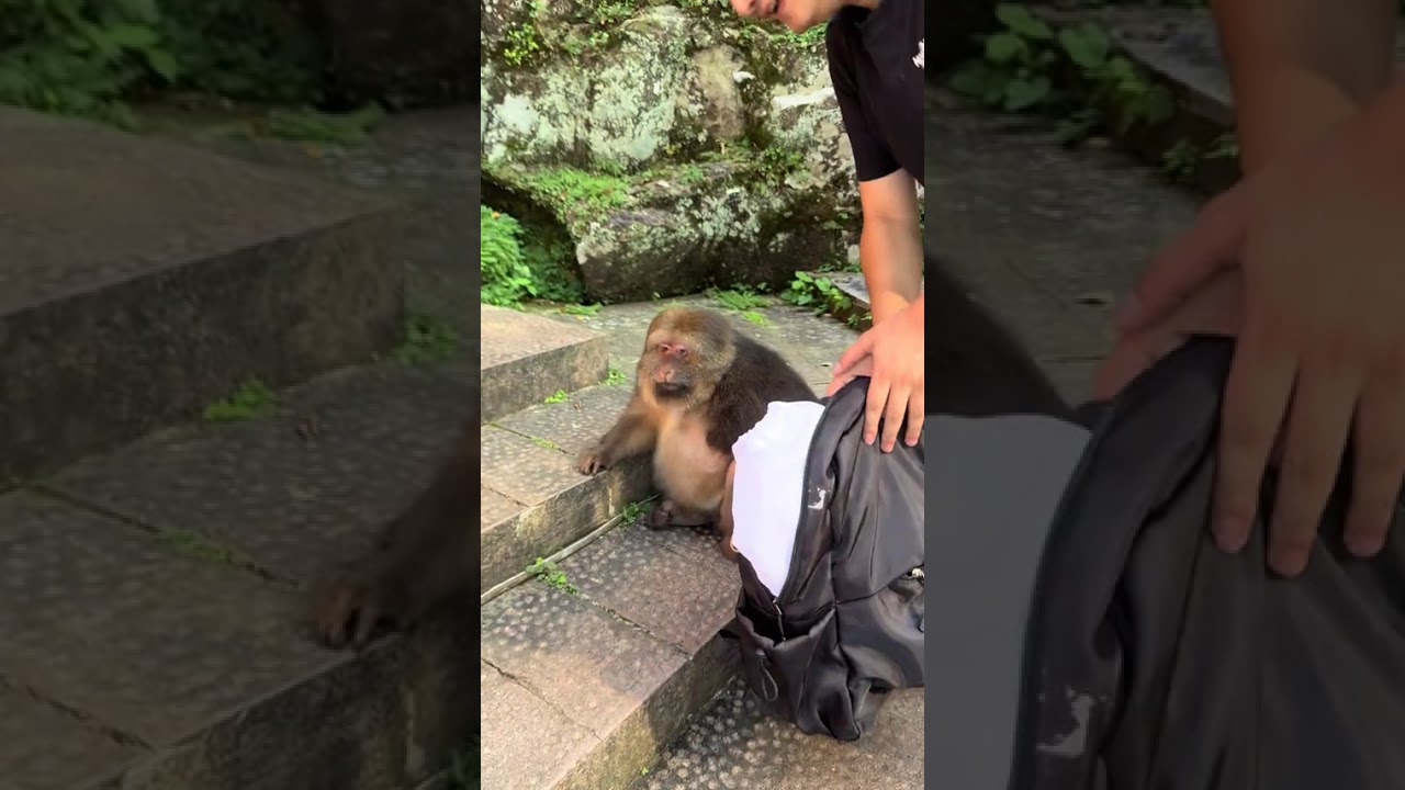 Xingxing Is Always Waiting 