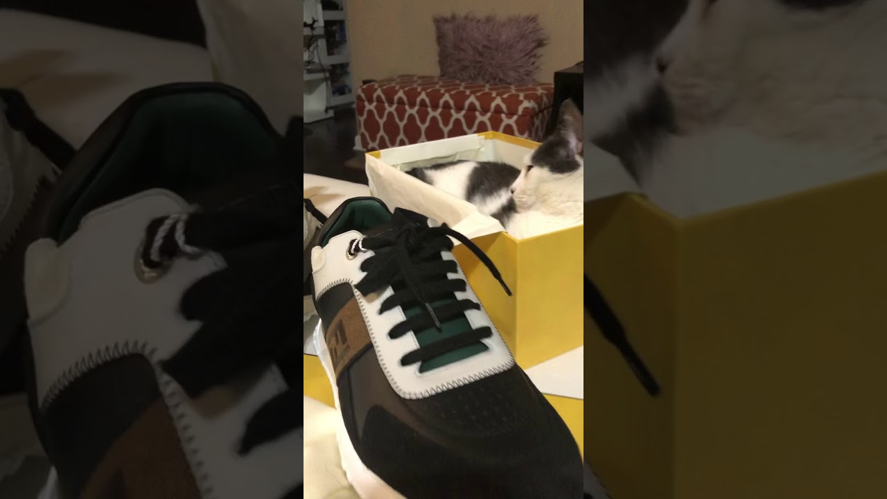 Fendi Sneaker preview