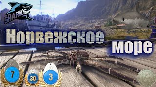 🔴 СТРИМ РР 4Норвежское море - Фарм серебра. 🔥Фарм и охота на трофея.🔥➡️Letsplay.⬅️.🔞