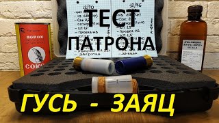 Тест патрона. Гусь-заяц. #2/35г. Сокол+Эверест.