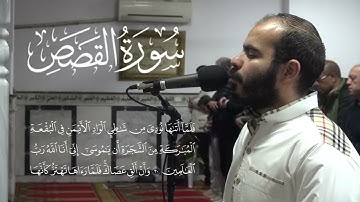 سورة القصص كاملة - من صلاة القيام رمضان 1446 هـ - الشيخ أحمد غنيم- 