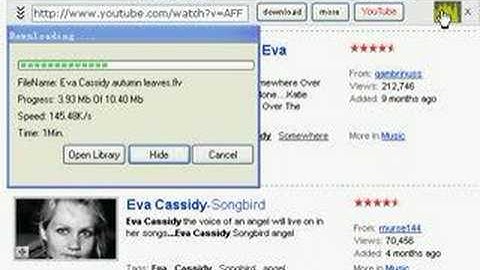 how to download YouTube FLV videos