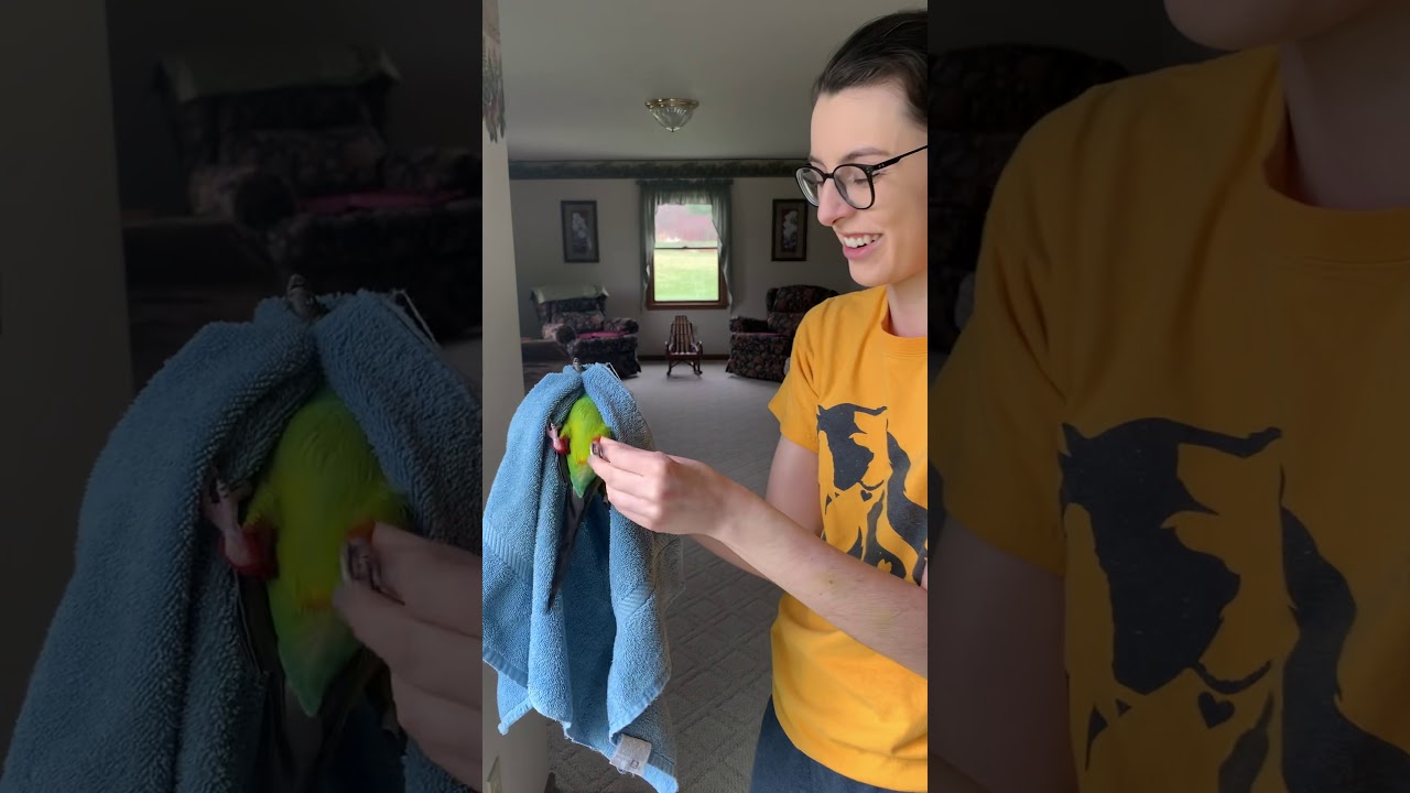 Brittany’s Avian Skills