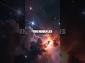 The Breathtaking Beauty of the Carina Nebula