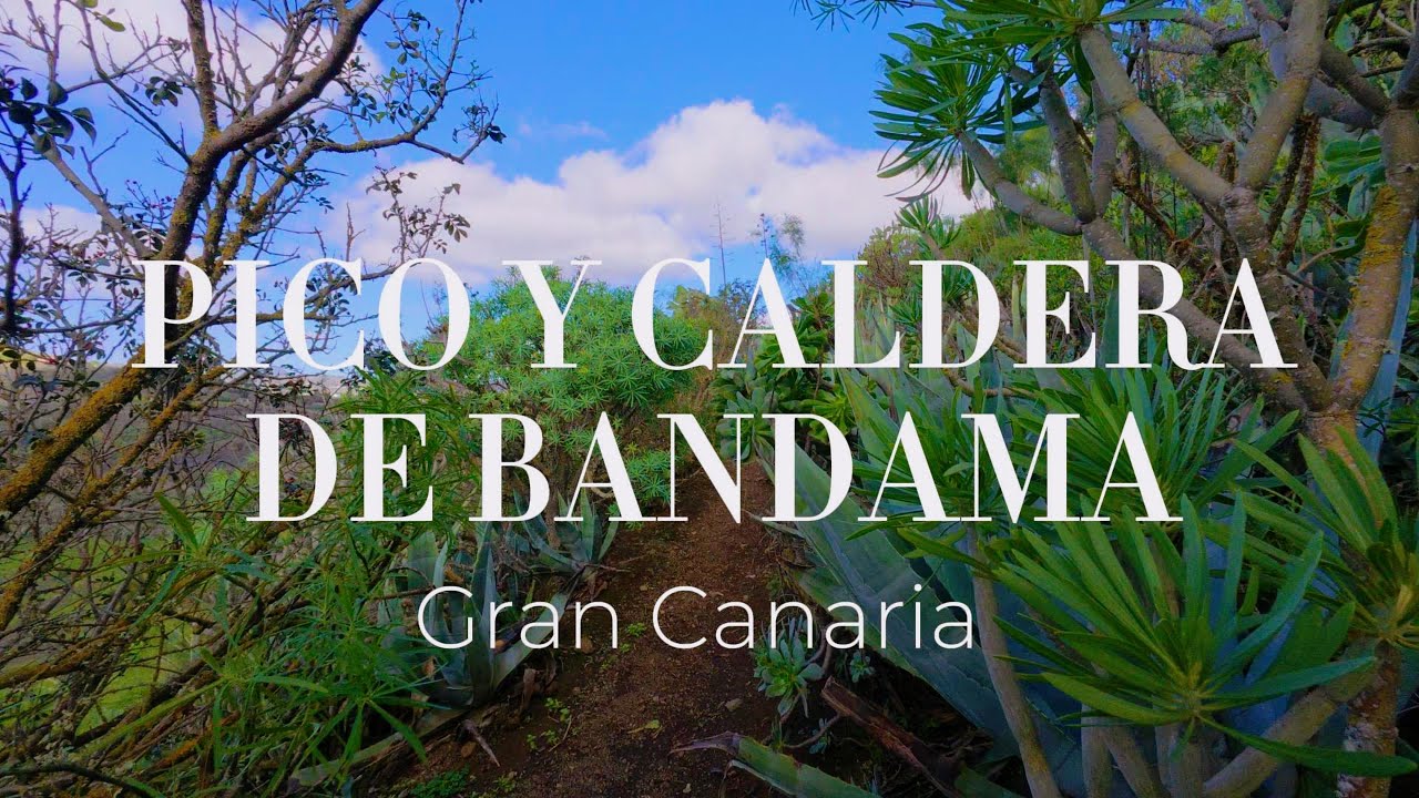 Excursión al Pico y Caldera de Bandama | Naturaleza volcánica en Gran Canaria. 