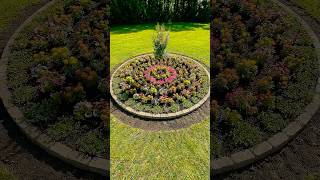 From Empty Spot to a Colorful Flower Burst Garden #garden #reels #satisfying