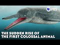 The Sudden Rise of the First Colossal Animal