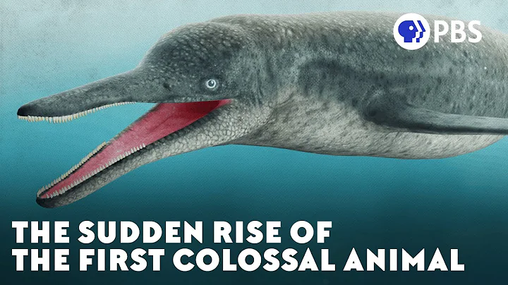 The Sudden Rise of the First Colossal Animal