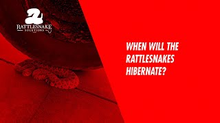 When do the rattlesnakes go away for the year