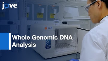 Ultra-Long Read Sequencing For Whole Genomic DNA Analysis l Protocol Preview
