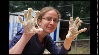 Workcamp 2016 Get involved in Odolena Voda