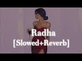 Radha-SOTY [Slowed+Reverb] Mp3 Song