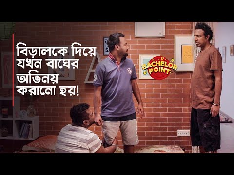 বিড়ালকে দিয়ে যখন বাঘের অভিনয় করানো হয় !!