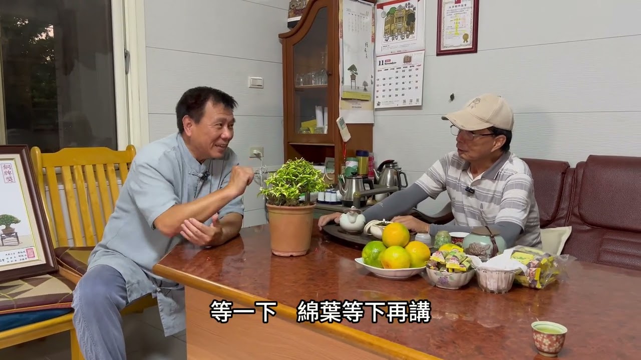 【創作家專訪系列~2】第二站我們來到了創作小品達人吳耀星老師的園子，超多成品盆景讓你目不暇給，每一棵都想擁有#林慶祥盆景藝術創作教學#Bonsai