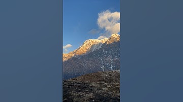 وَسِيقَ الَّذِينَ كَفَرُوا إِلَىٰ جَهَنَّمَ زُمَرًا #القرآن_الكريم#سورة_الزمر #ياسر_الدوسري #اكسبلور