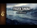 D&D Ambience | Frozen Tundra | Winds, Boreal, Cold, Arctic