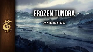 Frozen Tundra | Arctic Ambience | 1 Hour #dnd