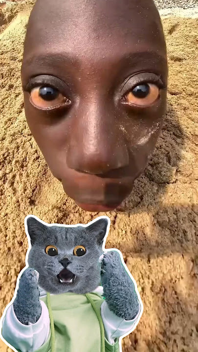 😲How I Caught The Football With A Thrill?🏈|Tenge 🇺🇬🇳🇬 #funnycat #catmemes #trending